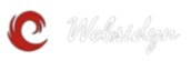 Websidyn
